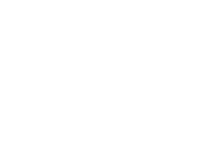 Wedding Venue Decorators